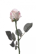 Roos wit roze 58cm